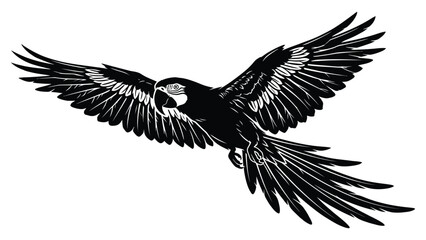 Obraz premium Macaw flies with wings fully extended in this detailed black and white artistic silhouette.