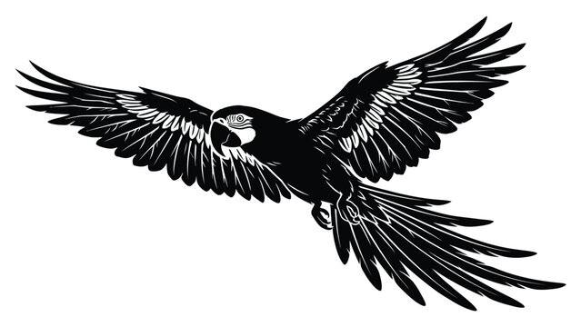 Macaw flies with wings fully extended in this detailed black and white artistic silhouette.