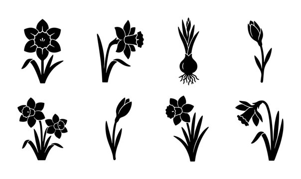 Spring Flower Icons: Daffodils, Tulips, and Bulbs, Black Silhouette Vector Graphics for Seasonal Design Elements