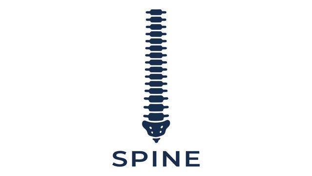 Spine icon displays a detailed anatomical representation of the human vertebral column structure.