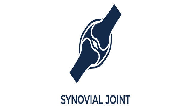 Synovial joint anatomy diagram illustrates the connection between two bones for medical education.
