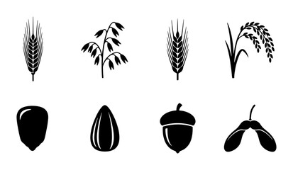 Set of 8 Black and White Grain and Seed Icons, Vector Illustrations for Agriculture and Food Concepts. Simple Icons Representing Wheat, Oats, Rice, Corn, Almond, Acorn, Maple Seed. © Habibur