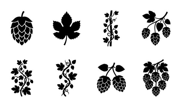 Hop Plant Vector Icons: Botanical Elements for Brewing and Agriculture Design, Organic Growth Illustrations