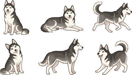 Siberian Husky Dog Character Set with Realistic Cartoon Style in Various Poses Including Sitting, Lying, and Walking for Pet and Animal Designs © Mifta