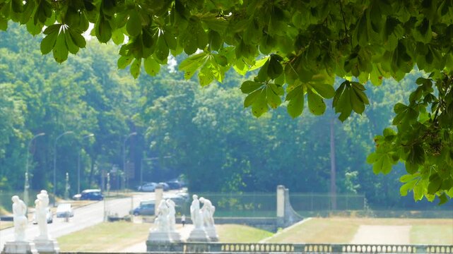 木陰からの古城と自動車