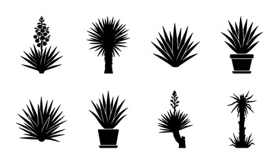Set of 8 Black Silhouette Yucca Plants, Potted and Grounded, Vector Icons for Garden Design and Botanical Illustrations © Jebun