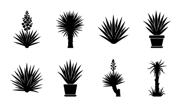 Set of 8 Black Silhouette Yucca Plants, Potted and Grounded, Vector Icons for Garden Design and Botanical Illustrations