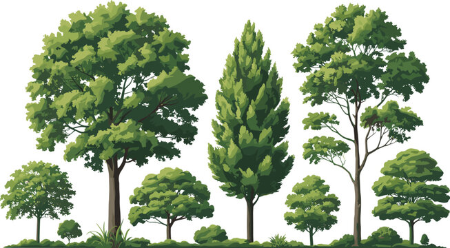 Modern green trees vector illustration collection with realistic botanical landscape elements isolated background