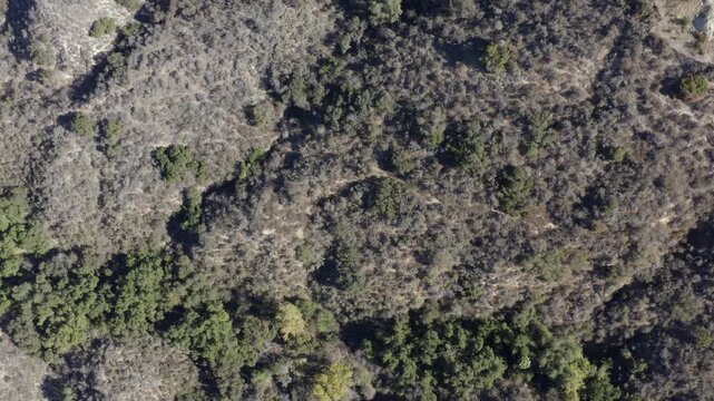Top Down of Corbin Canyon Park Woodland Hills Los Angeles California Drone 