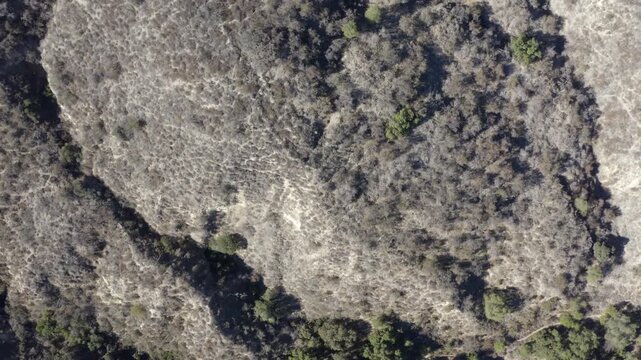 Top Down of Corbin Canyon Park Woodland Hills Los Angeles California Drone 