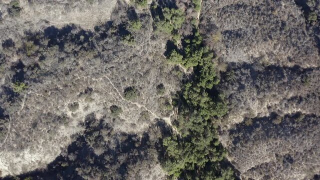 Top Down of Corbin Canyon Park Woodland Hills Los Angeles California Drone 