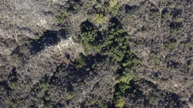 Top Down of Corbin Canyon Park Woodland Hills Los Angeles California Drone 