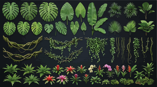 Tropical jungle plant collection, realistic green monstera leaves and exotic flowers, hanging liana vines and palm foliage vector set for nature design