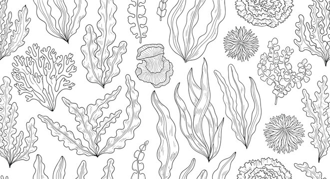 Intricate black and white line art pattern featuring many different species of seaweed and aquatic plants.