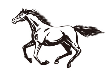 horse vector illustration © Abhishek
