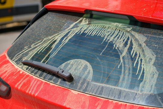 Rear car window covered with thick pollen streaks, intense spring bloom causing allergies, environmental exposure and seasonal health concept.