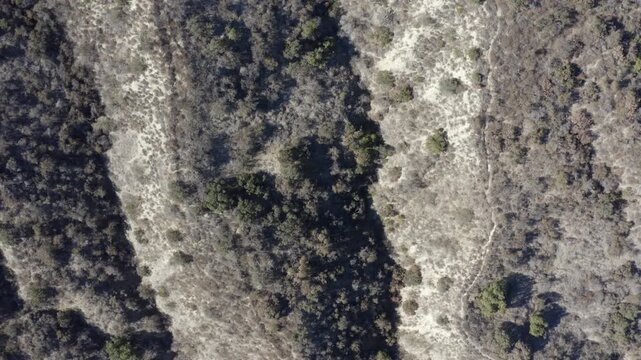 Top Down of Corbin Canyon Park Woodland Hills Los Angeles California Drone 