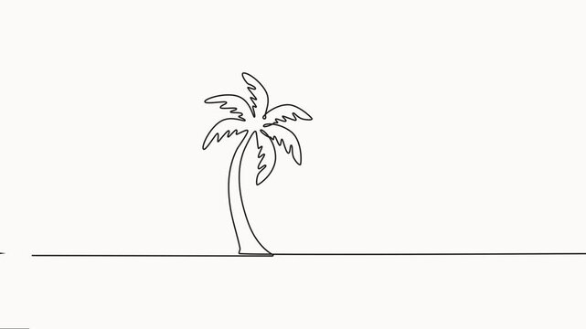 self drawing of one continuous line draw beauty and exotic date palm tree, Decorative cocos nucifera, beach palm tree family concept for greeting hello summer, Full length one line animation