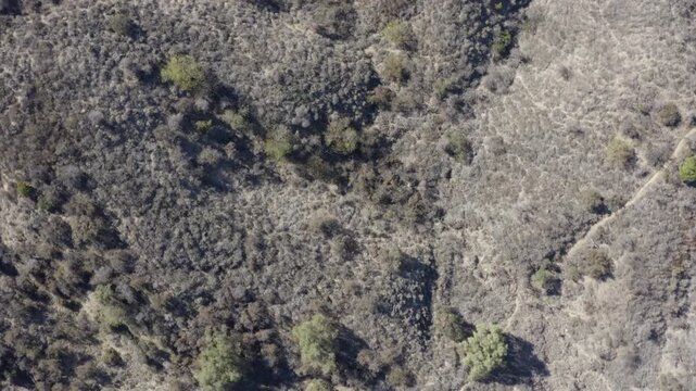 Top Down of Corbin Canyon Park Woodland Hills Los Angeles California Drone 
