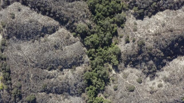 Top Down of Corbin Canyon Park Woodland Hills Los Angeles California Drone 