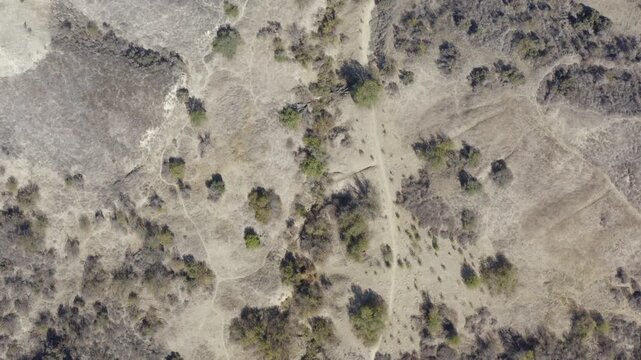 Top Down of Corbin Canyon Park Woodland Hills Los Angeles California Drone 