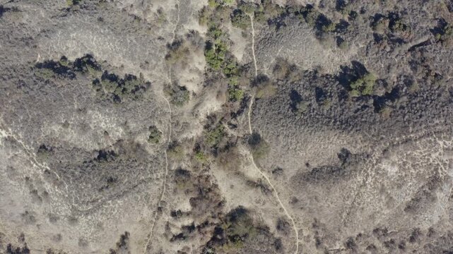 Top Down of Corbin Canyon Park Woodland Hills Los Angeles California Drone 