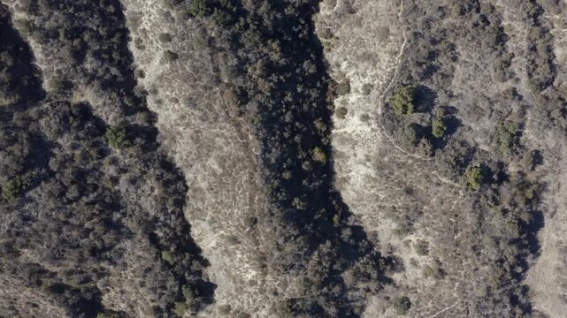 Top Down of Corbin Canyon Park Woodland Hills Los Angeles California Drone 