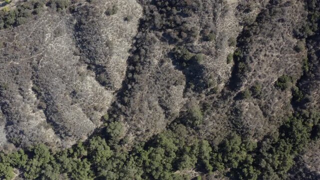 Top Down of Corbin Canyon Park Woodland Hills Los Angeles California Drone 