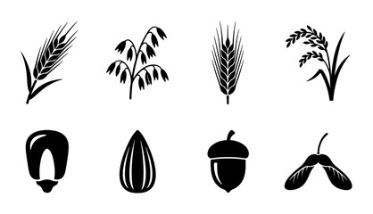 Grain and Seed Icons: Wheat, Oats, Rice, Corn, Almond, Acorn, Maple Seed Vector Set for Agriculture, Food, and Nature Graphics © Shakhawat