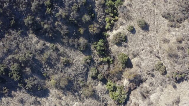 Top Down of Corbin Canyon Park Woodland Hills Los Angeles California Drone 