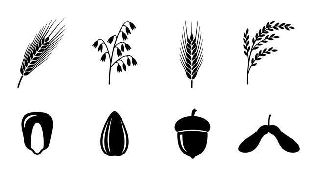 Garain Icon