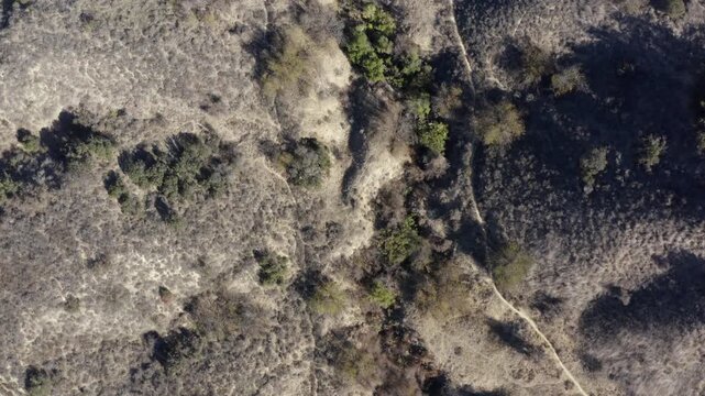 Top Down of Corbin Canyon Park Woodland Hills Los Angeles California Drone 