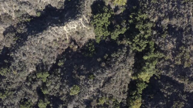 Top Down of Corbin Canyon Park Woodland Hills Los Angeles California Drone 