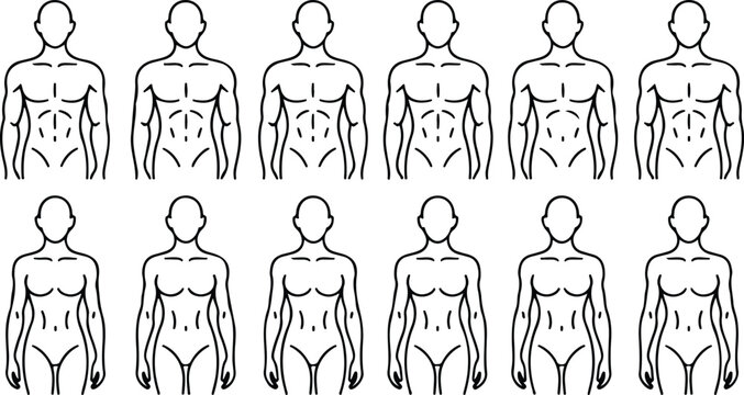 Series of human body illustrations showing progressive weight loss stages in front and side views