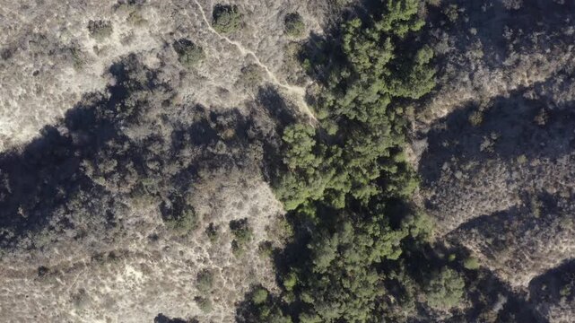 Top Down of Corbin Canyon Park Woodland Hills Los Angeles California Drone 