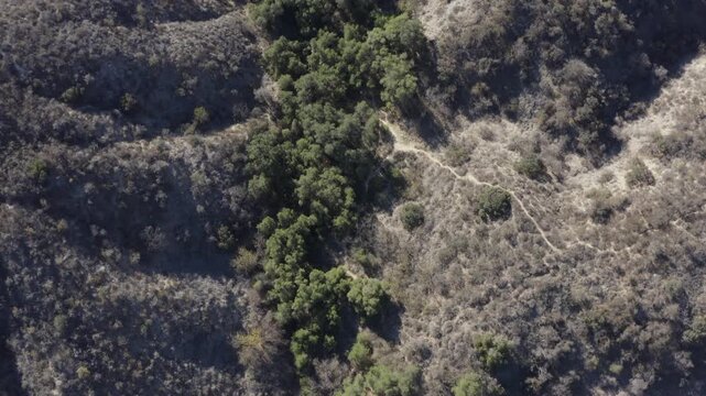 Top Down of Corbin Canyon Park Woodland Hills Los Angeles California Drone 