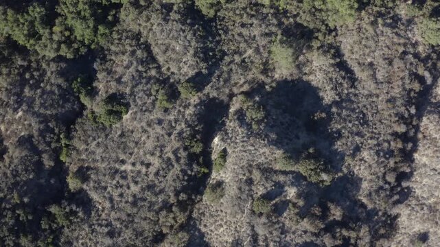 Top Down of Corbin Canyon Park Woodland Hills Los Angeles California Drone 