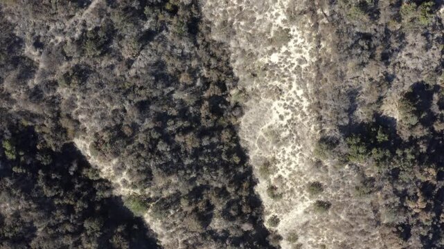 Top Down of Corbin Canyon Park Woodland Hills Los Angeles California Drone 