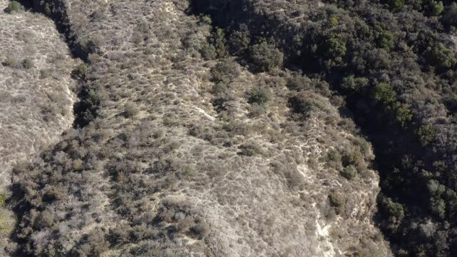 Top Down of Corbin Canyon Park Woodland Hills Los Angeles California Drone 