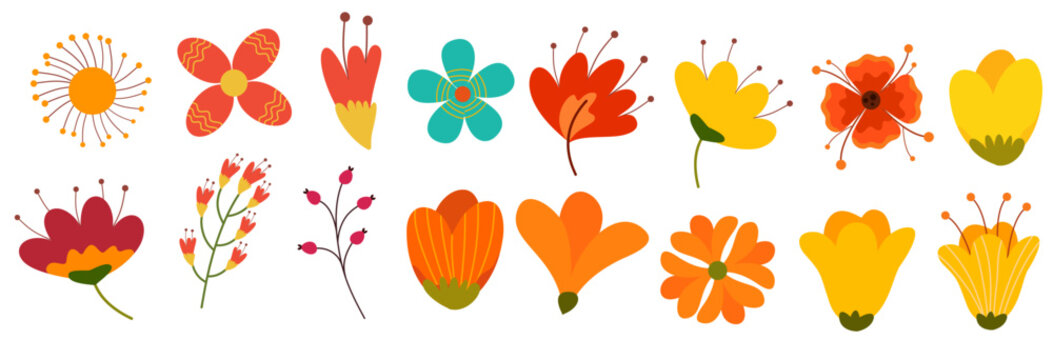 bright summer orange flowers horizontal graphic element bundle set