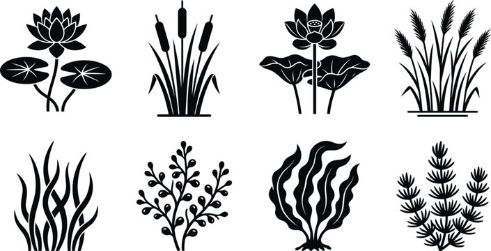Aquatic plant silhouettes collection isolated decorative botanical wetland nature illustration
