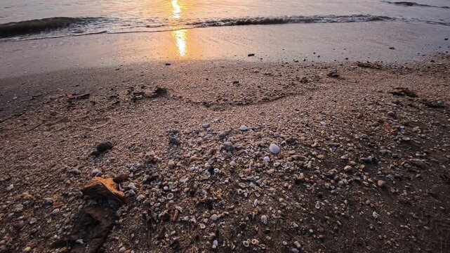 Close view of beach sand with shells and warm sunset reflection