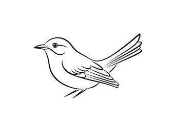Fototapeta premium Minimalist hand drawn line art illustration of a small songbird in profile