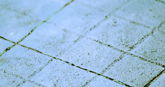 Wet tiled floor with water, dirt stains and moss, and grime texture. Slippery surface background ideal for cleaning, moisture, hazard warning, maintenance, and urban decay concepts
