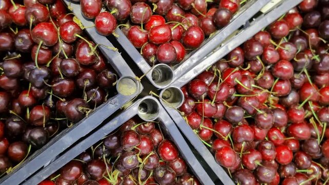 Baskets filled with bright red and deep dark cherries closely packed together create a vibrant display. Several bunches of cherries with stems intact add to the natural texture and color contrast.