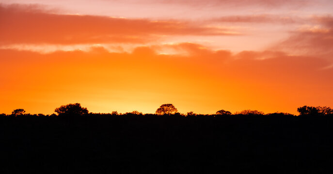 Lever de soleil en Afrique du Sud