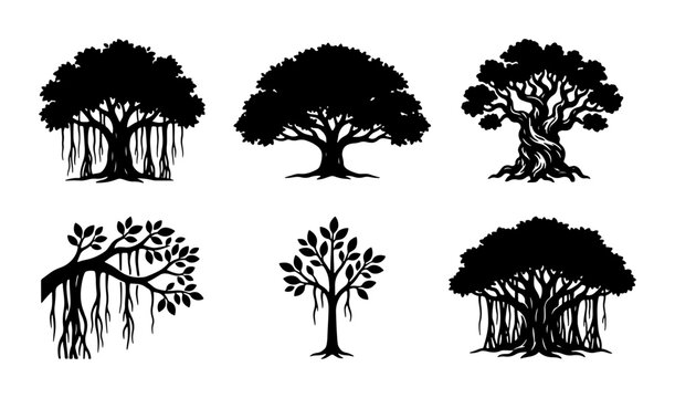 Banyan Tree Silhouettes, Iconic Tropical Flora Vector Icons, Ancient Woodland Elements, Organic Nature Graphics