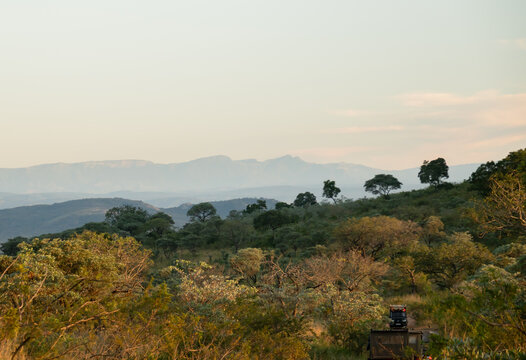 Petit matin au Parc Kruger en Afrique du Sud
