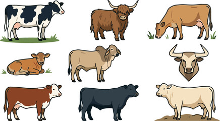 Collection of farm cow vector illustrations featuring dairy cattle, bulls, calves and grazing livestock animal designs isolated on background © Jahangir