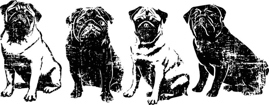 Illustration of four sitting pugs in different poses with distressed texture effect